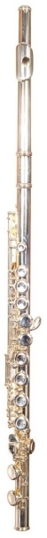 Parrot 6456 S Flute