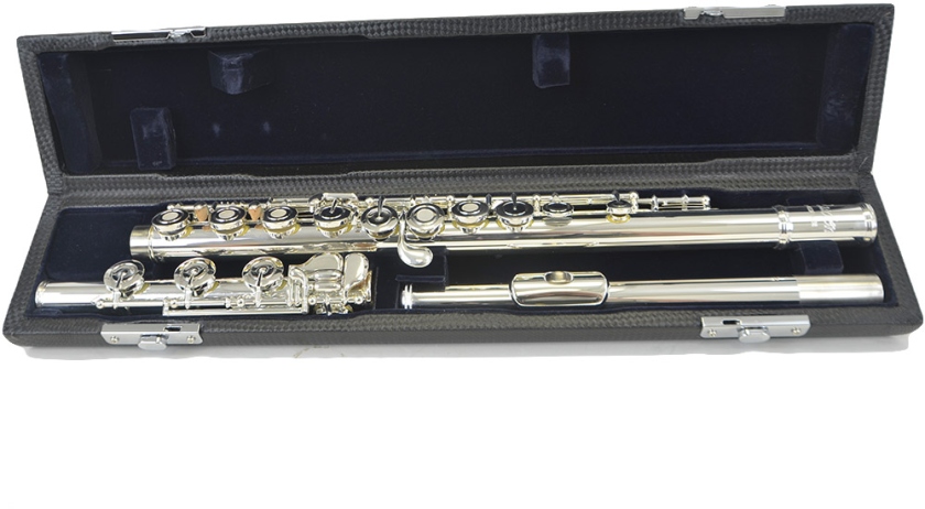 Lucien FL-400P RBE