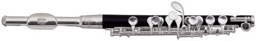 Roy Benson PC-502 Student Pro