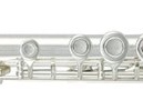 Flaut Roy Benson FL-402 R