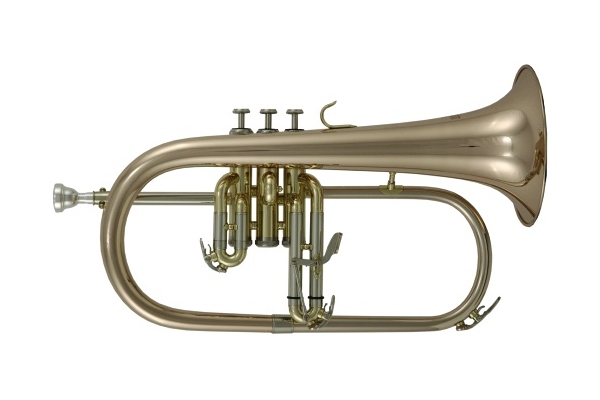 Flugelhorn Bb FH-302G