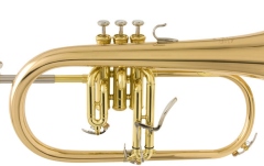 Flugelhorn (filigorn) Yamaha YFH-8315 G