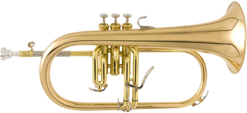 Flugelhorn (filigorn) Yamaha YFH-8315 G