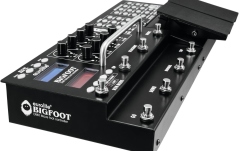 Footswitch DMX cu generator de efecte Eurolite DMX Move Bigfoot