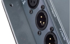 Footswitch / splitter Palmer MI DMS