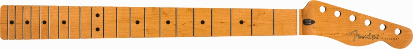 Fender Roasted Maple Telecaster Neck 21 Narrow Tall Frets 9.5