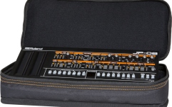 Geanta de protectie si transport pentru Roland Boutique