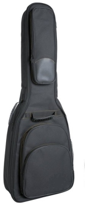 Gewa turtle serie 125 acoustic