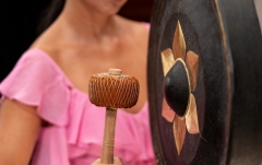 Gong Meinl 18" Thai Gong