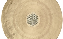Gong Meinl Wind Gong - Flower of Life 20" / 50 cm