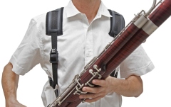 Ham Fagot  BG France B10C Ham Fagot 