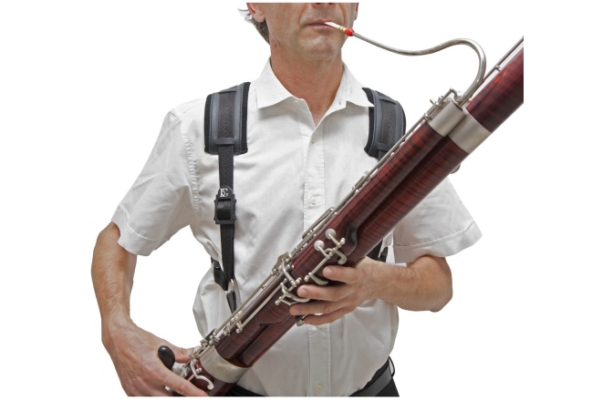 Ham Fagot  BG France B10C Ham Fagot 