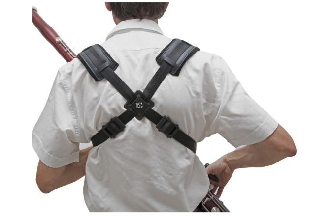 Ham Fagot  BG France B10C Ham Fagot 