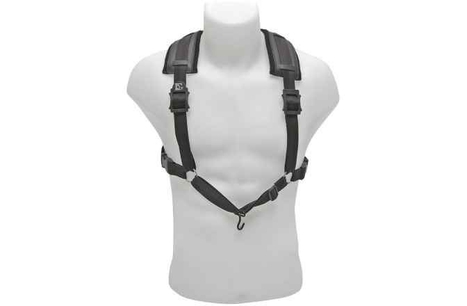 Ham Fagot  BG France B10C Ham Fagot 