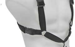 Ham Fagot  BG France B10C Ham Fagot 