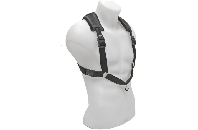 Ham Fagot  BG France B10C Ham Fagot 