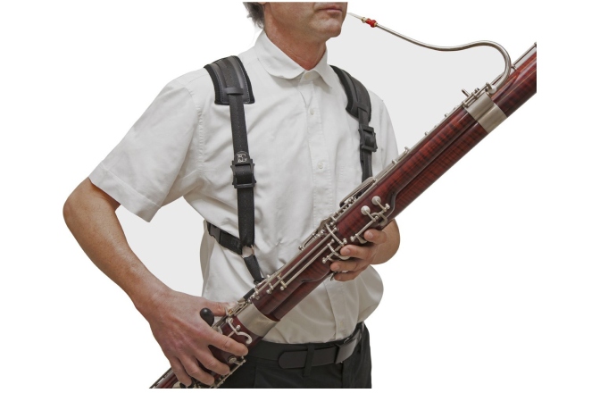 Ham Fagot  BG France B10C Ham Fagot 