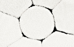 Handpan Meinl Sonic Energy Handpan HD3 Raga Desya Todi