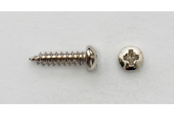 Vintage Tuner Screw