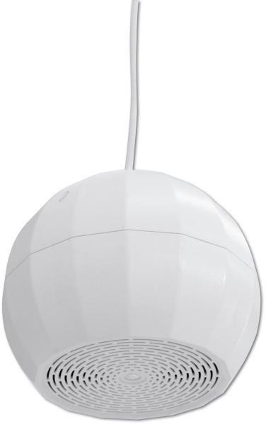 Omnitronic WP-2H