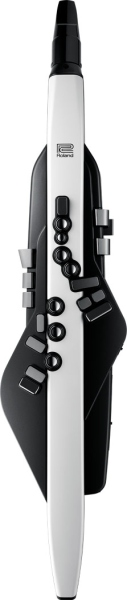 Roland Aerophone AE-20