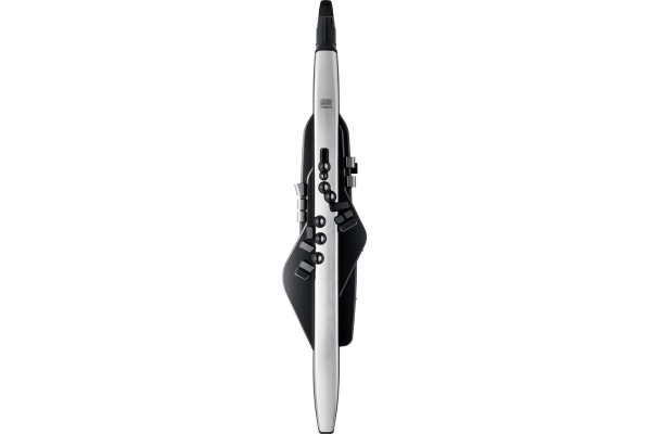 Roland Aerophone Pro AE-30