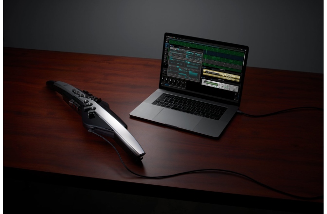 Instrument digital de suflat Roland Aerophone Pro AE-30