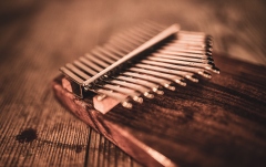 Kalimba Meinl Sonic Energy Solid Kalimba Acacia