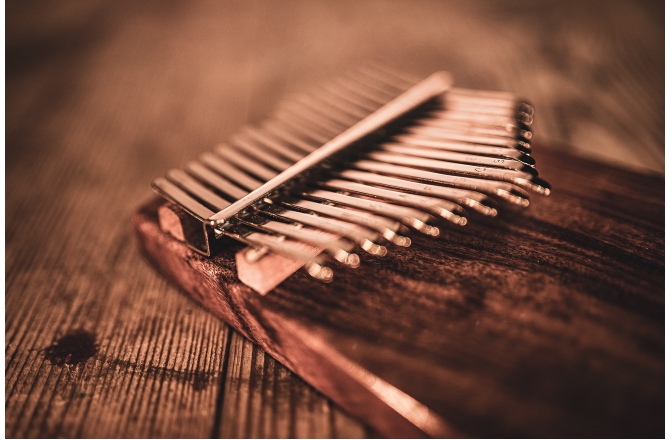 Kalimba Meinl Sonic Energy Solid Kalimba Acacia