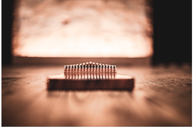 Kalimba Meinl Sonic Energy Solid Kalimba Acacia