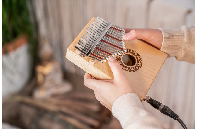 Kalimba Meinl Sonic Energy Soundhole Pickup Kalimba Maple