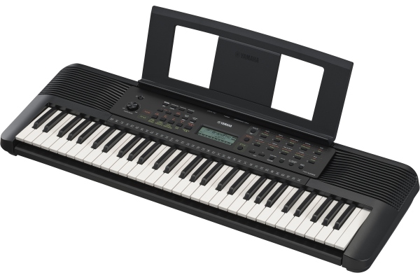 PSR-E283