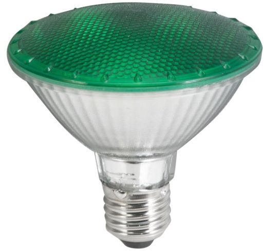 Omnilux PAR-30 230V LED green