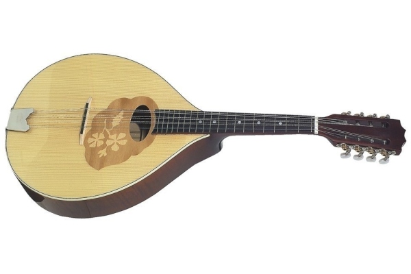 Mandolă Pro Arte High gloss