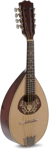 Gewa  Pro Arte Model 1 High gloss