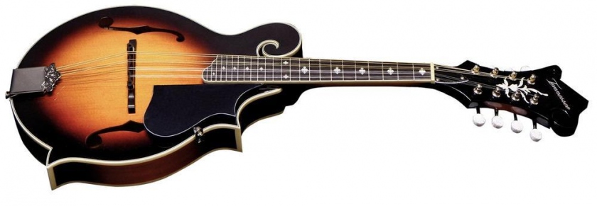 Tennessee F-1 Florentine Select