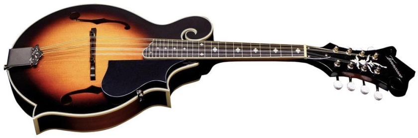 Tennessee F-1 Florentine Select