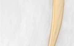 Manetă pentru Bigsby Bigsby Handle Assembly Flat Vintage Non-Fixed Gold