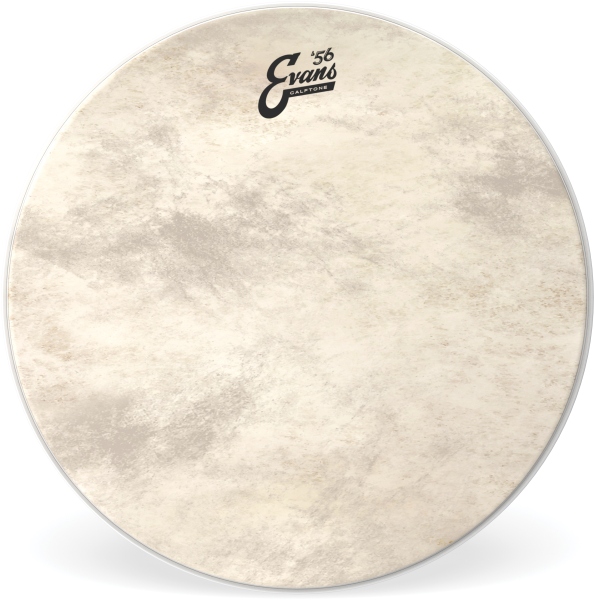 Evans Calftone BD Head 26 Inch