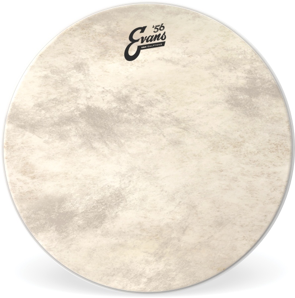 Evans EQ4 Calftone BD Head 16 Inch