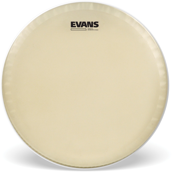 Evans Strata Staccato 1000 Concert SD Head 14 Inch