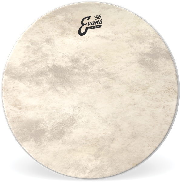 Evans Calftone BD Head 16 Inch