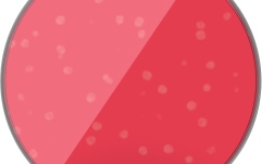 Membrană Tobă Evans Hydraulic Red Drum Head 8 Inch