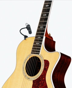 DPA d:vote 4099 Guitar