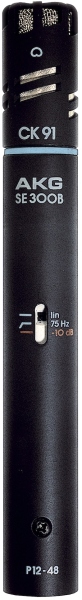 AKG C391 B
