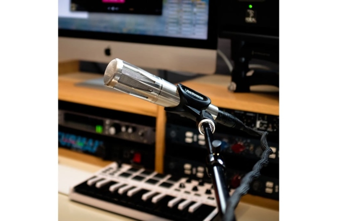 Microfon condenser Earthworks SR314-B