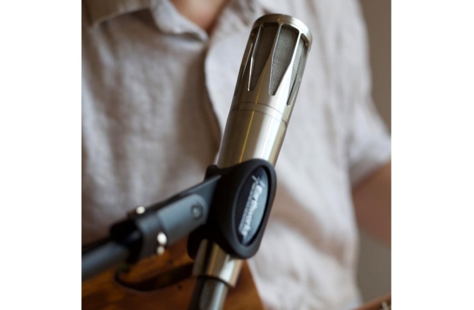 Microfon condenser Earthworks SR314-B