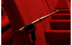 Microfon de masurare Earthworks M30