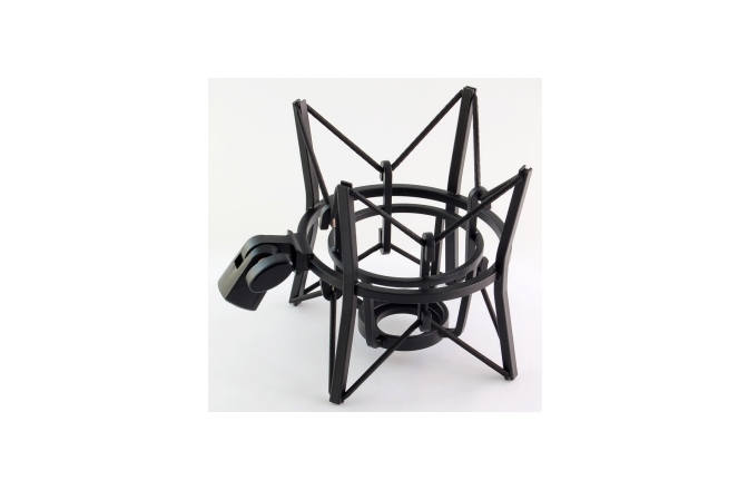 Microfon de studio AKG P220