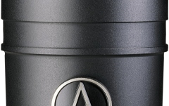 microfon condenser cardioid pe lamp?, cu diafragm? dubl